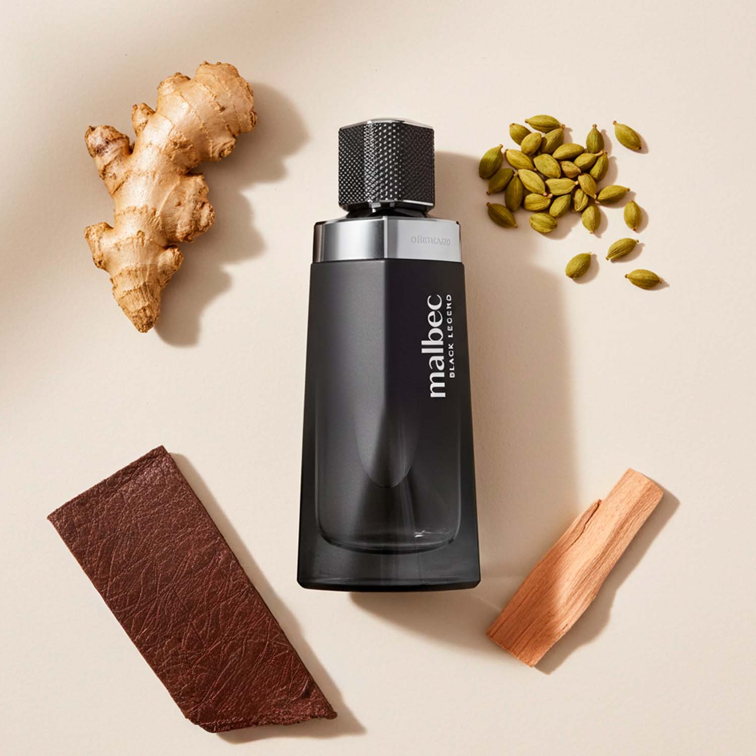 Malbec Black Legend Eau de Toilette para Hombre 100ml